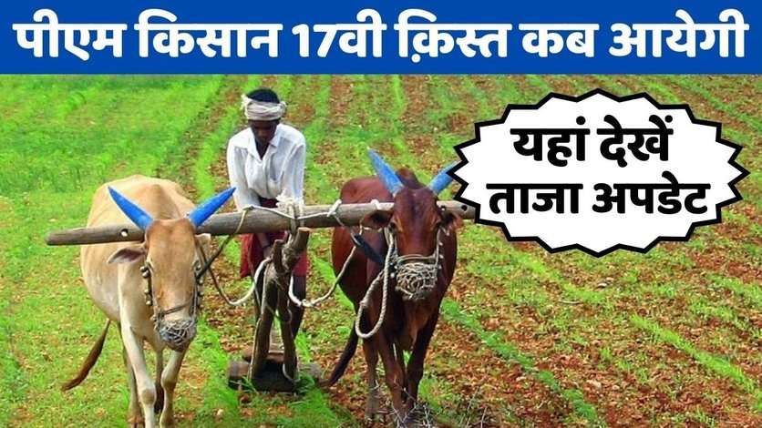 PM Kisan Yojana: कब आएगी पीएम किसान योजना की 17वी किसानों के खातों में, देखें इसको लेकर ताजा अपडेट