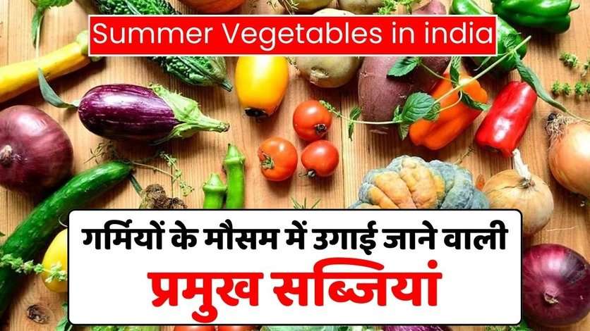 गर्मियों के मौसम में उगाई जाने वाली प्रमुख सब्जियां Summer Vegetables in india