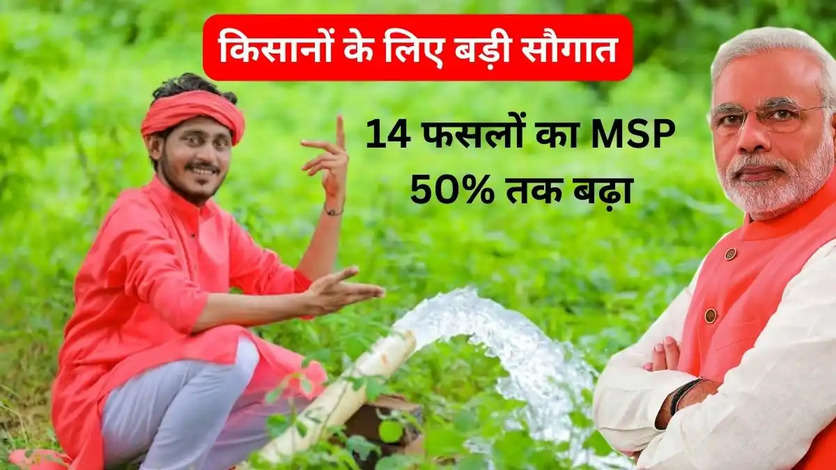 नई सरकार ने किसानों के लिए बड़ी सौगात! 14 फसलों का MSP 50% तक बढ़ा, धान का MSP 2300 रुपये